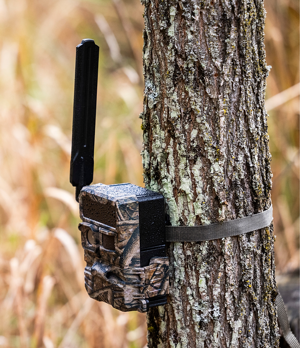 Y2 Cellular Trail Cam